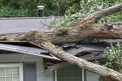 No matter what sort of storm damage your home might encounter, the pros at Thomas Quality Construction can handle it.