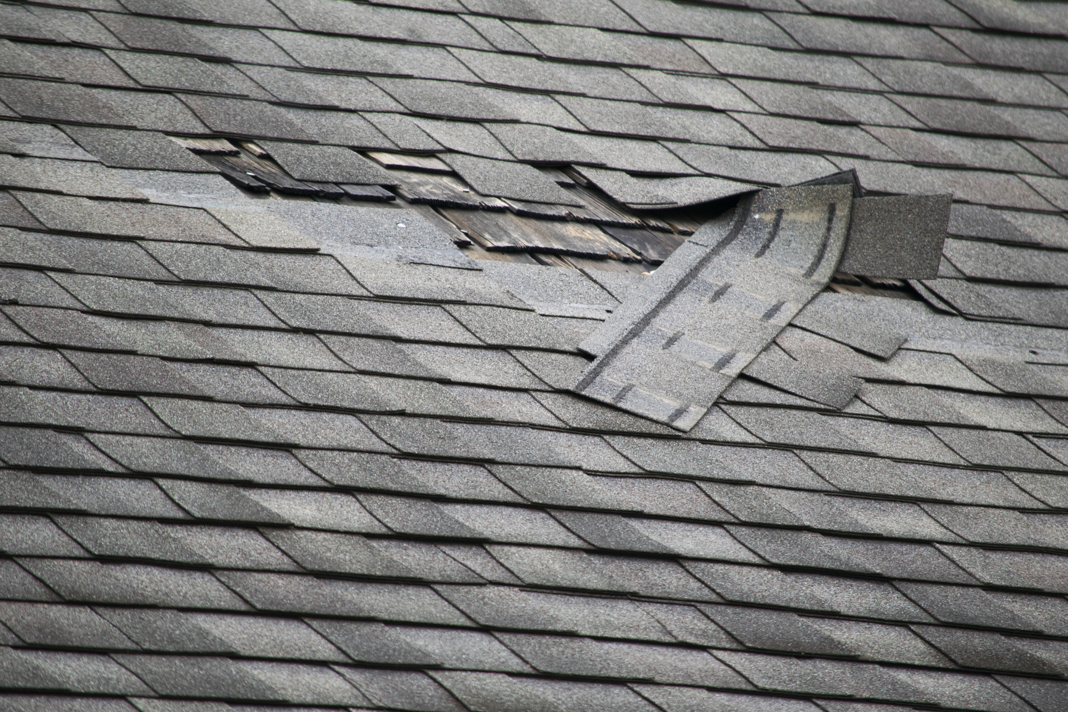 When it comes to roof shingles repair, Thomas Quality Construction has a dedicated team of professionals that repair roofs.