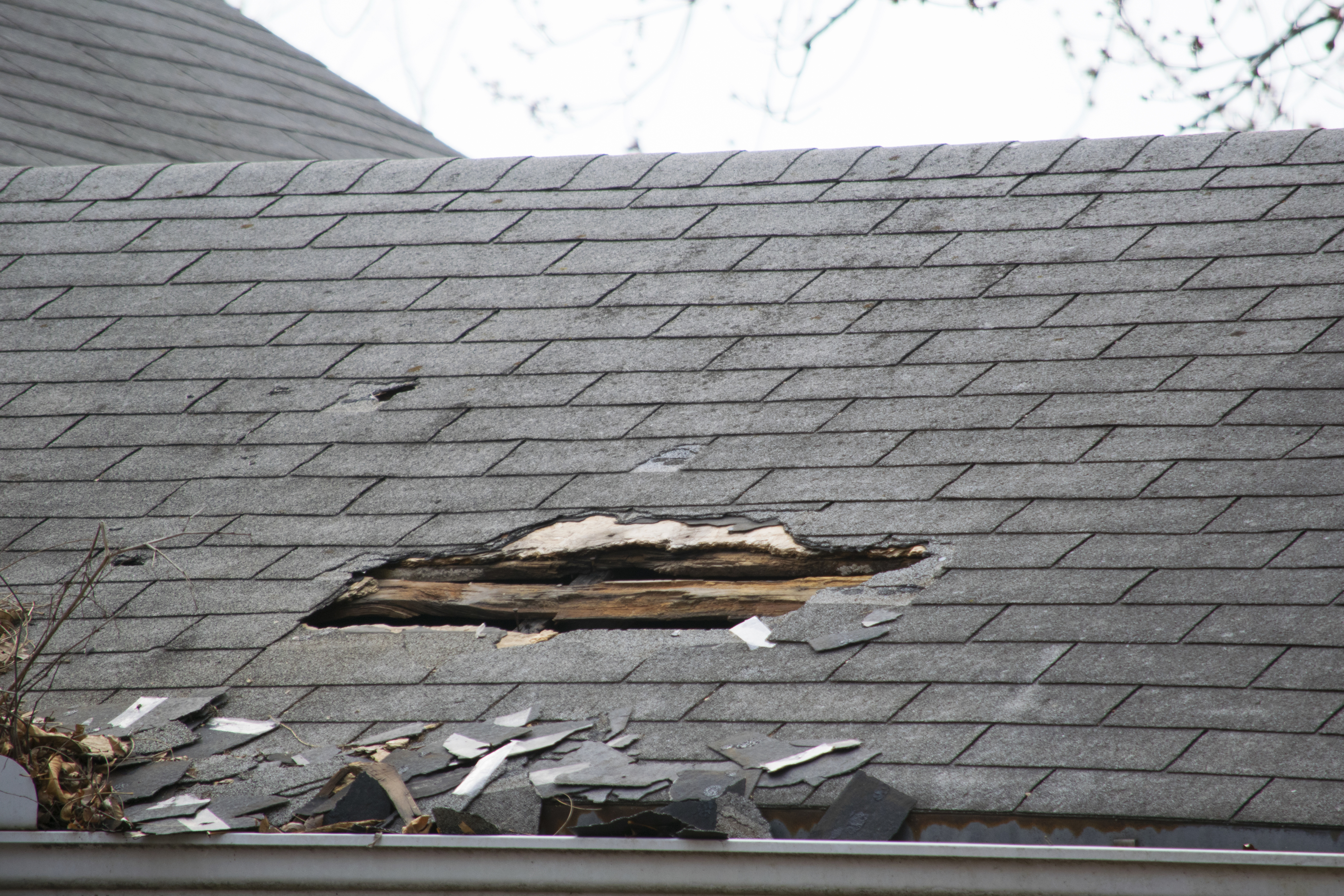 When your roof suffers damage from a storm, contact the roofing experts at Thomas Quality Construction.
